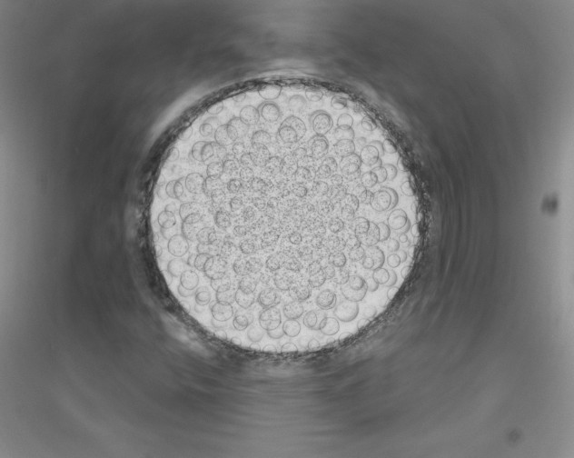 X0000116771400201001281623