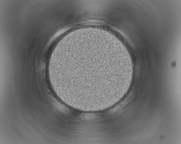 X0000116771402201001281623