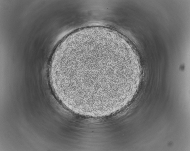 X0000116771404201001281623