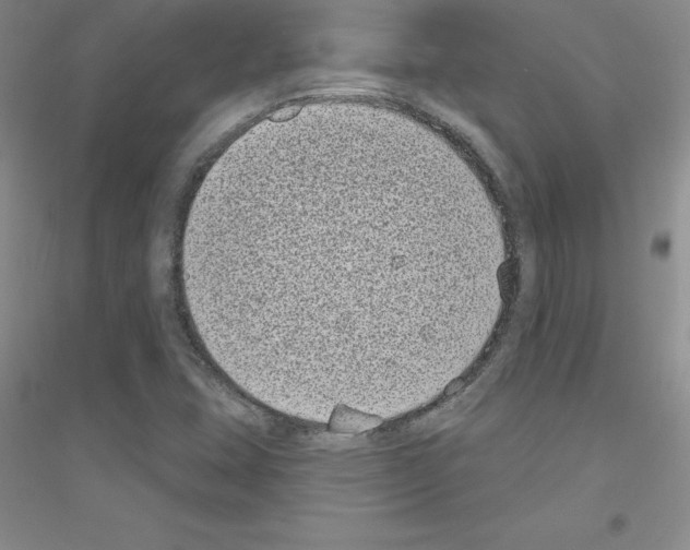 X0000116771407201001281623
