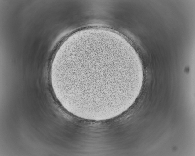 X0000116771408201001281623