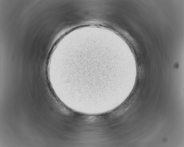 X0000116771412201001281623