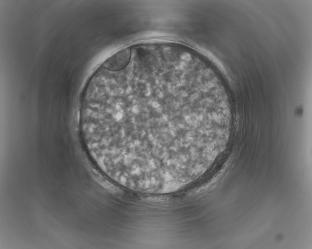 X0000116771413201001281623