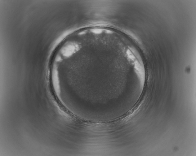 X0000116771414201001281623
