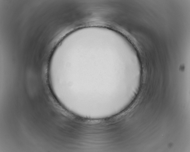 X0000116771415201001281623