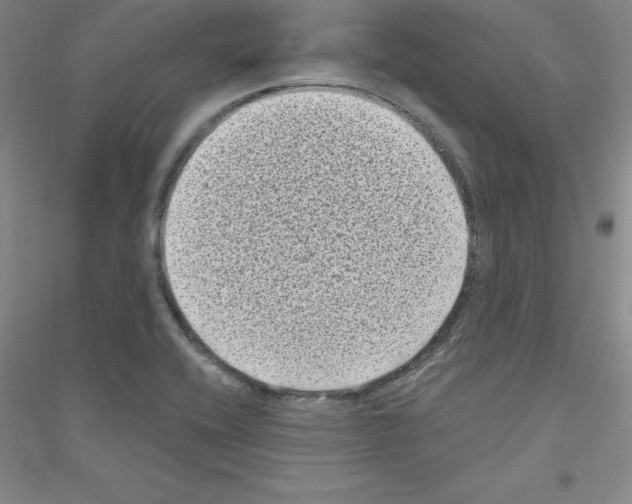 X0000116771416201001281623