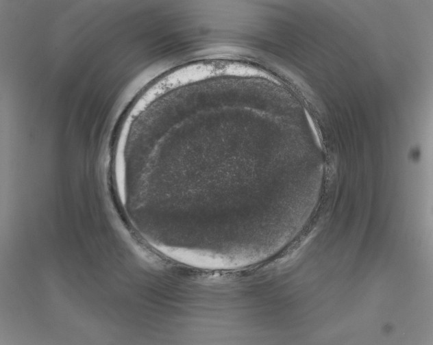X0000116771418201001281623