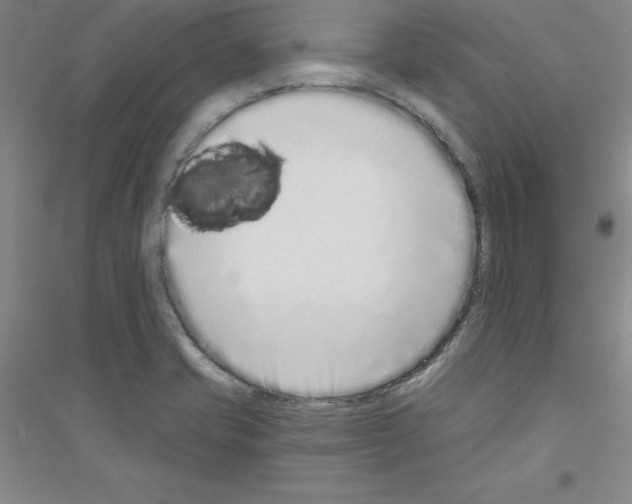 X0000116771421201001281623