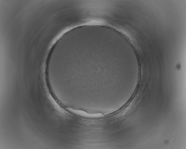X0000116771422201001281623