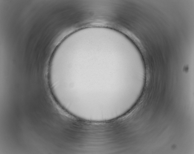 X0000116771423201001281623