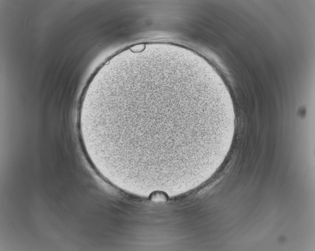 X0000116771424201001281623