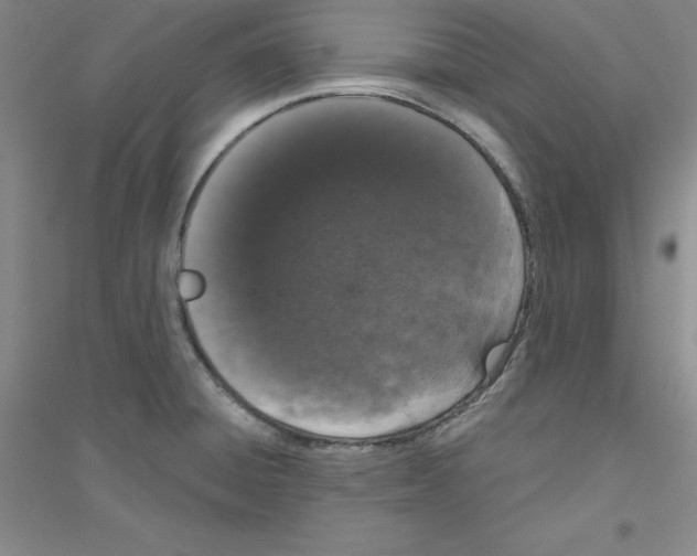 X0000116771428201001281623