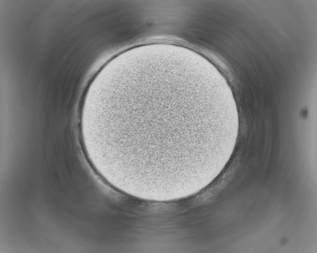 X0000116771430201001281623