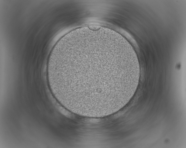 X0000116771431201001281623