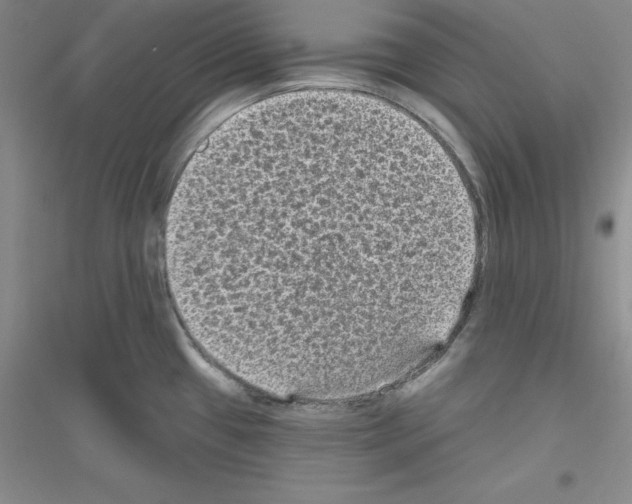 X0000116771433201001281623