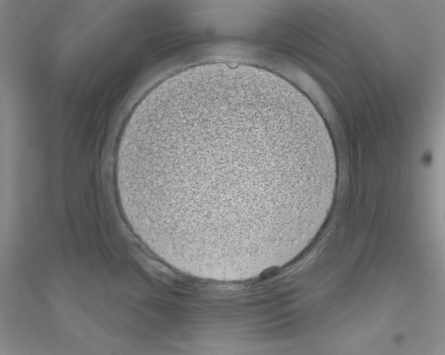 X0000116771435201001281623