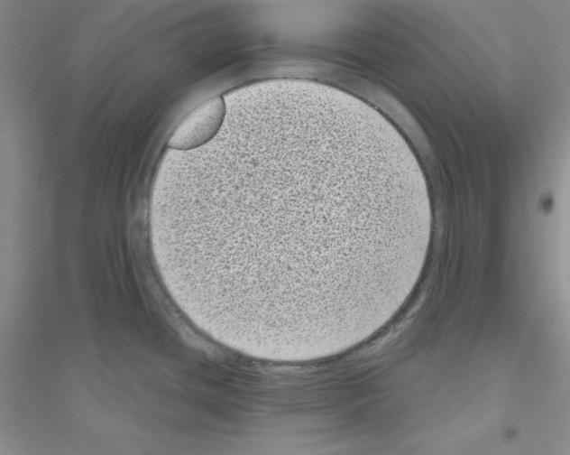 X0000116771436201001281623