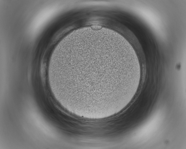 X0000116771438201001281623