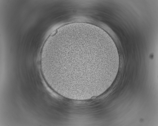 X0000116771439201001281623