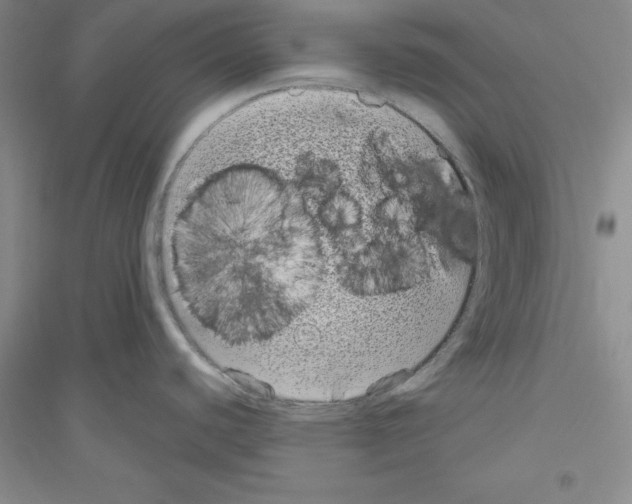 X0000116771440201001281623