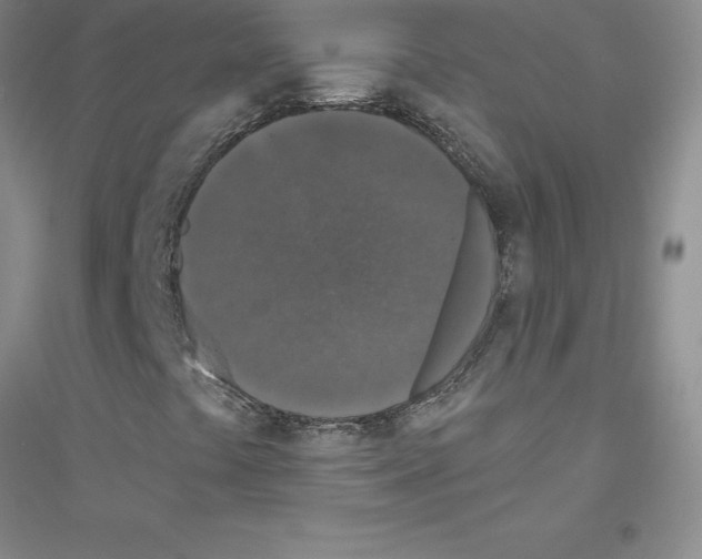 X0000116771441201001281623