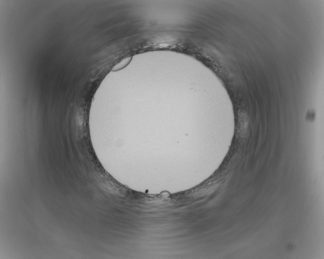 X0000116771442201001281623