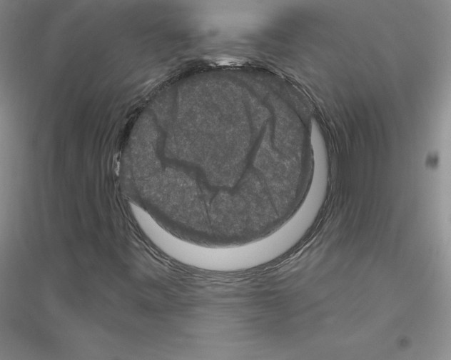 X0000116771443201001281623