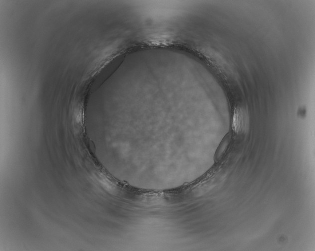 X0000116771444201001281623