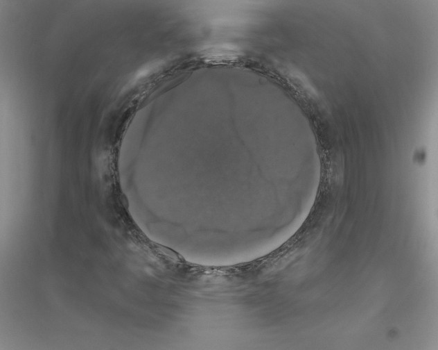 X0000116771445201001281623