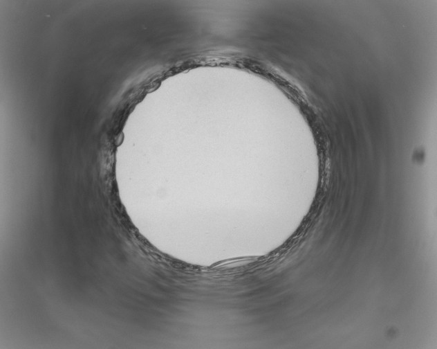 X0000116771447201001281623