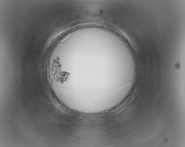 X0000116771448201001281623