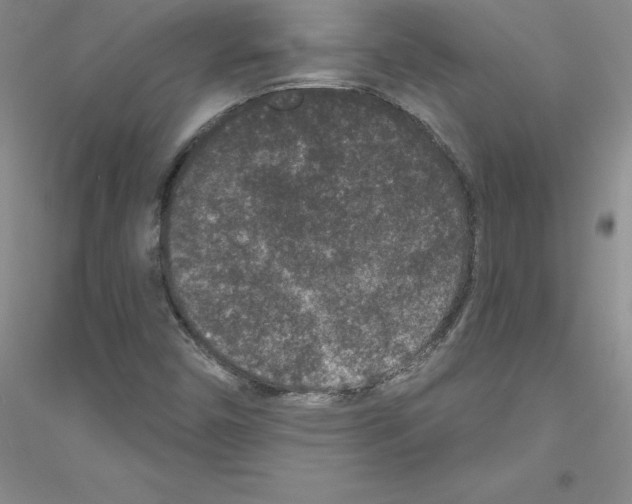 X0000116771450201001281623