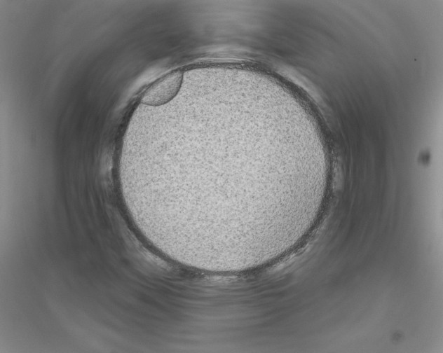 X0000116771451201001281623