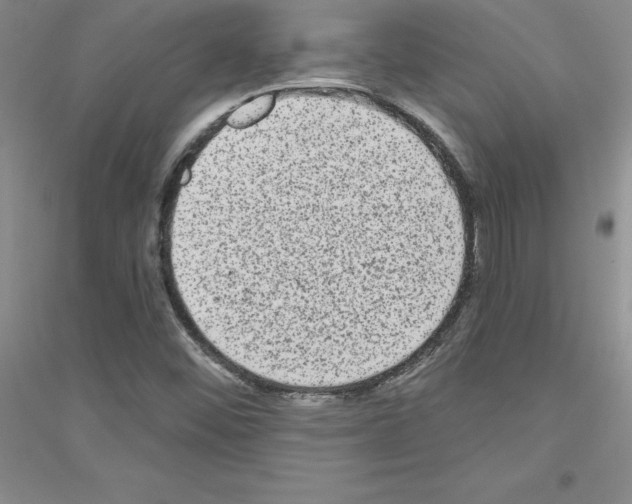 X0000116771452201001281623