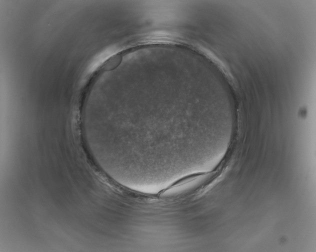 X0000116771453201001281623