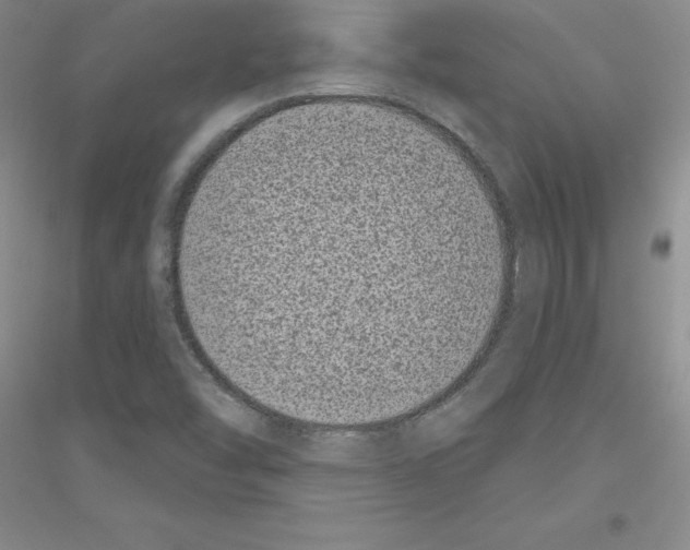 X0000116771454201001281623