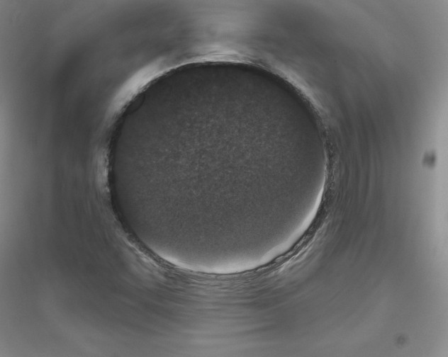 X0000116771455201001281623