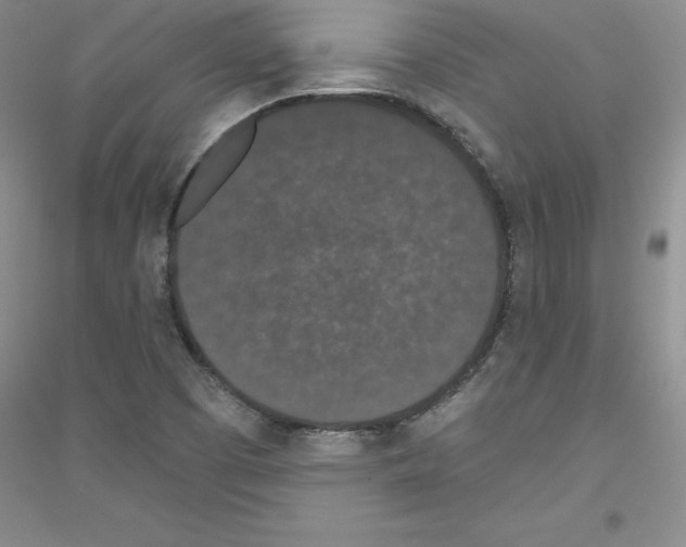 X0000116771457201001281623