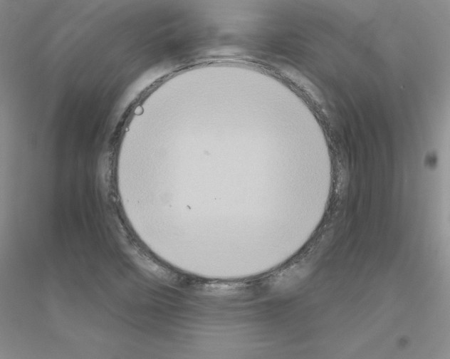 X0000116771458201001281623
