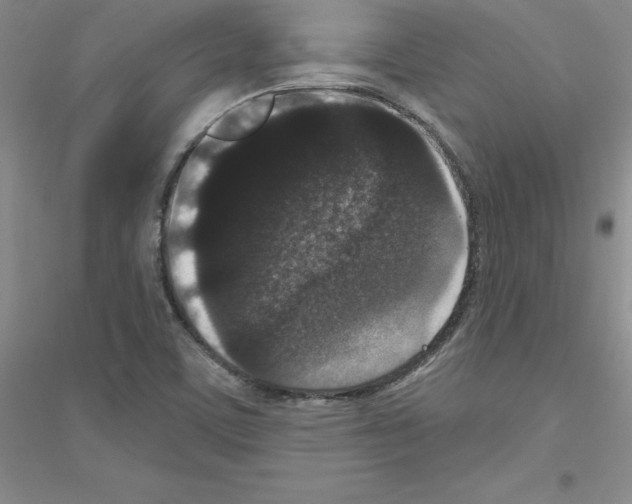 X0000116771459201001281623