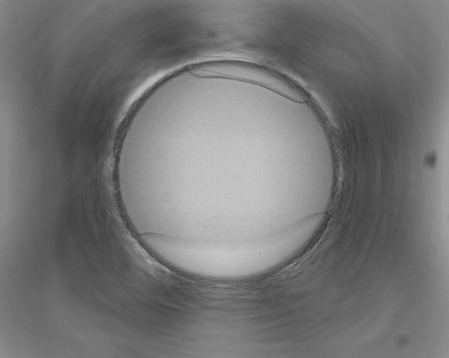 X0000116771460201001281623