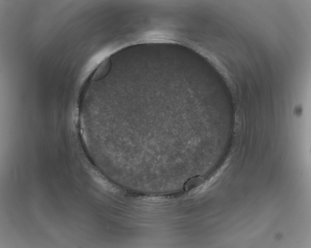 X0000116771461201001281623
