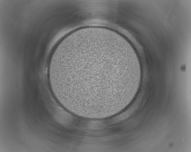 X0000116771462201001281622
