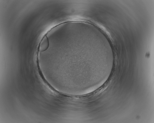 X0000116771463201001281622