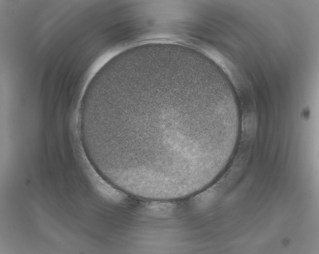 X0000116771466201001281622