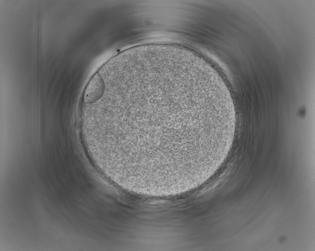 X0000116771467201001281622