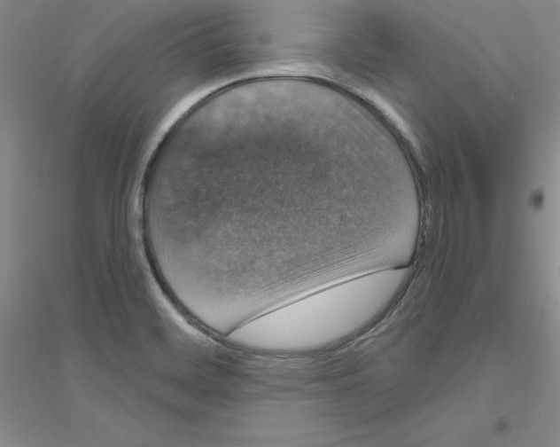 X0000116771468201001281622