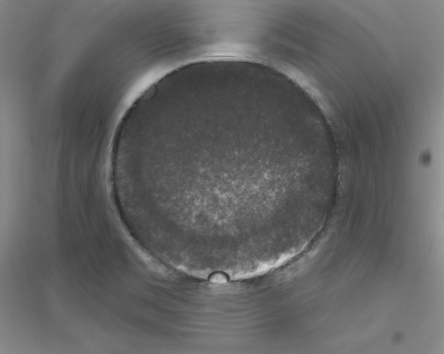 X0000116771469201001281622
