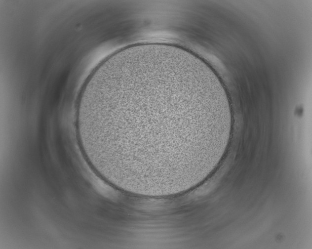 X0000116771470201001281622
