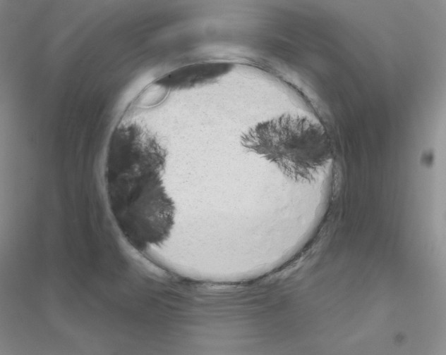 X0000116771471201001281622